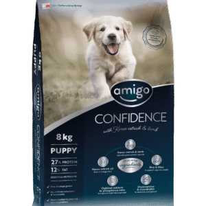 Amigo Confidence Puppy