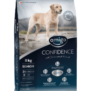 Amigo Confidence Senior