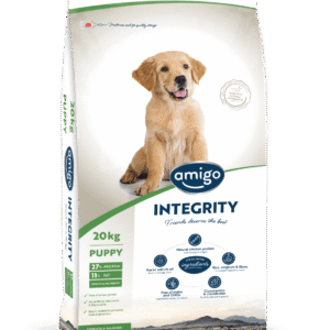 Amigo Integrity Puppy