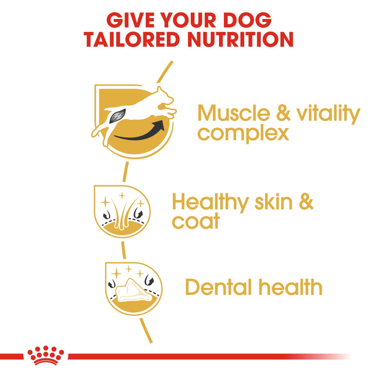 ROYAL CANIN® Jack Russell Adult - Image 3