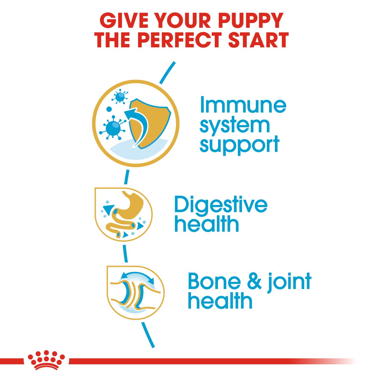 ROYAL CANIN® English Bulldog Puppy - Image 3