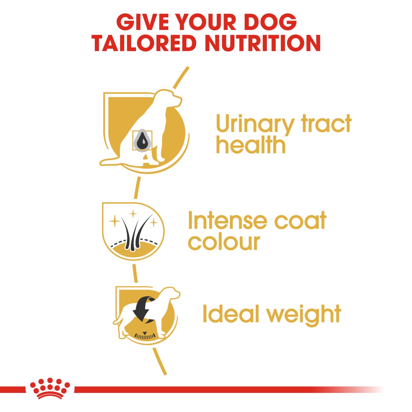 ROYAL CANIN® Schnauzer Adult - Image 3