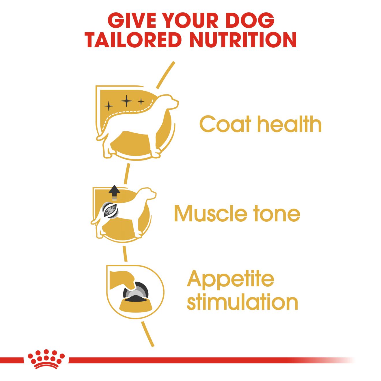 ROYAL CANIN® Poodle Adult 12x85g - Image 3