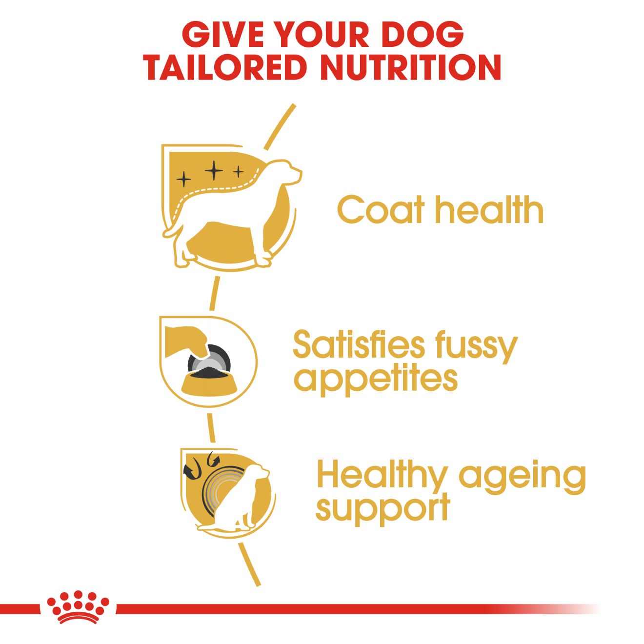 ROYAL CANIN® Yorkshire Terrier Adult - Image 3