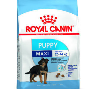 ROYAL CANIN® Maxi Puppy