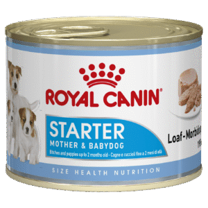 ROYAL CANIN® Starter Mousse Can 12x195g