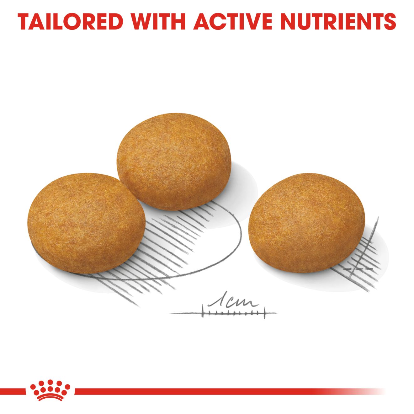 ROYAL CANIN® Dermacomfort Maxi 12kg - Image 2