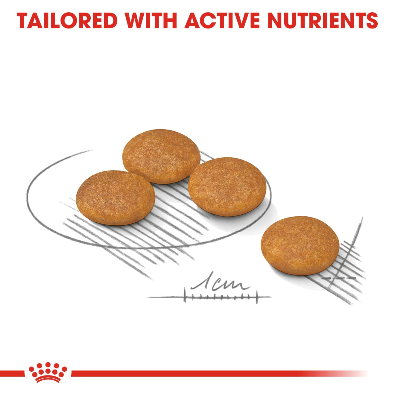 ROYAL CANIN® Dermacomfort Mini - Image 2
