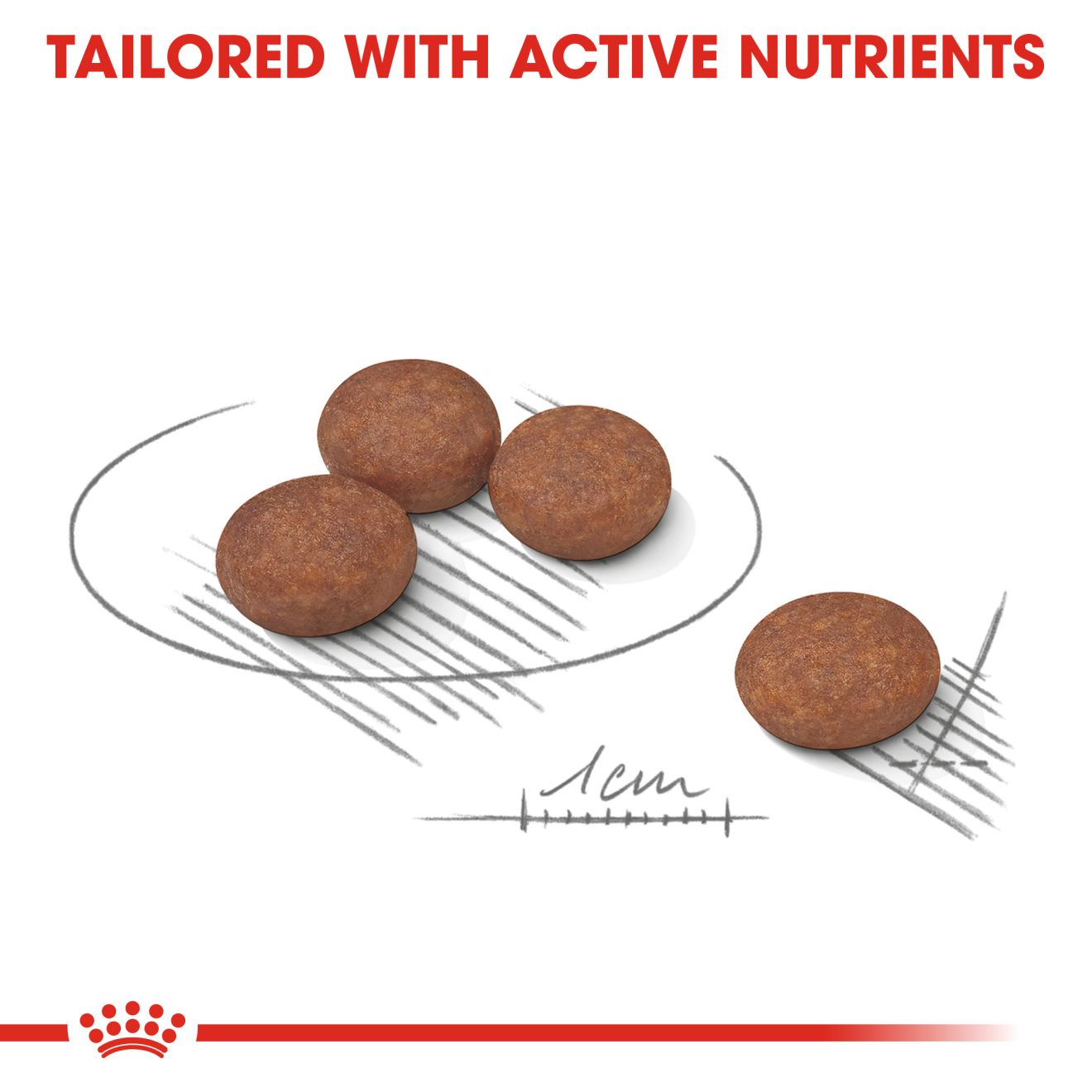 ROYAL CANIN® Digestive Care Mini 3kg - Image 2