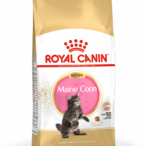 ROYAL CANIN® Maine Coon Kitten
