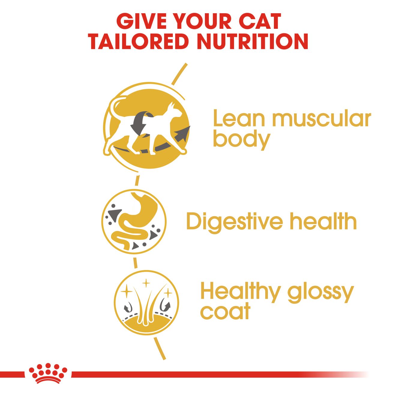 ROYAL CANIN® Siamese Adult - Image 3