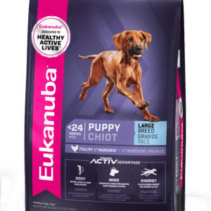 Eukanuba Large Breed Puppy Chicken