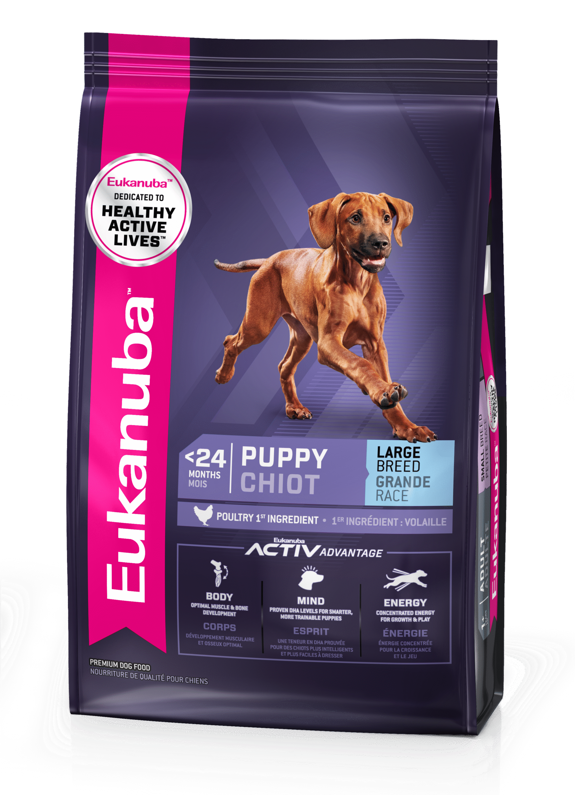 Eukanuba Large Breed Puppy Chicken