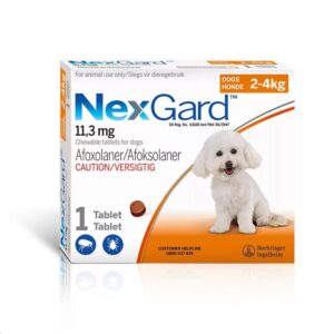 NexGard (2-4kg) Sml l(Orange) 1 Sgl