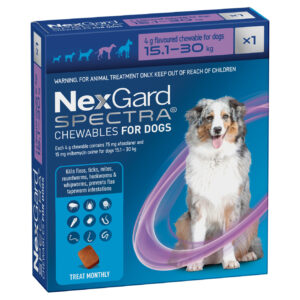 NexGard Spectra Lrg(15.1-30kg)Sgl 1'Purple
