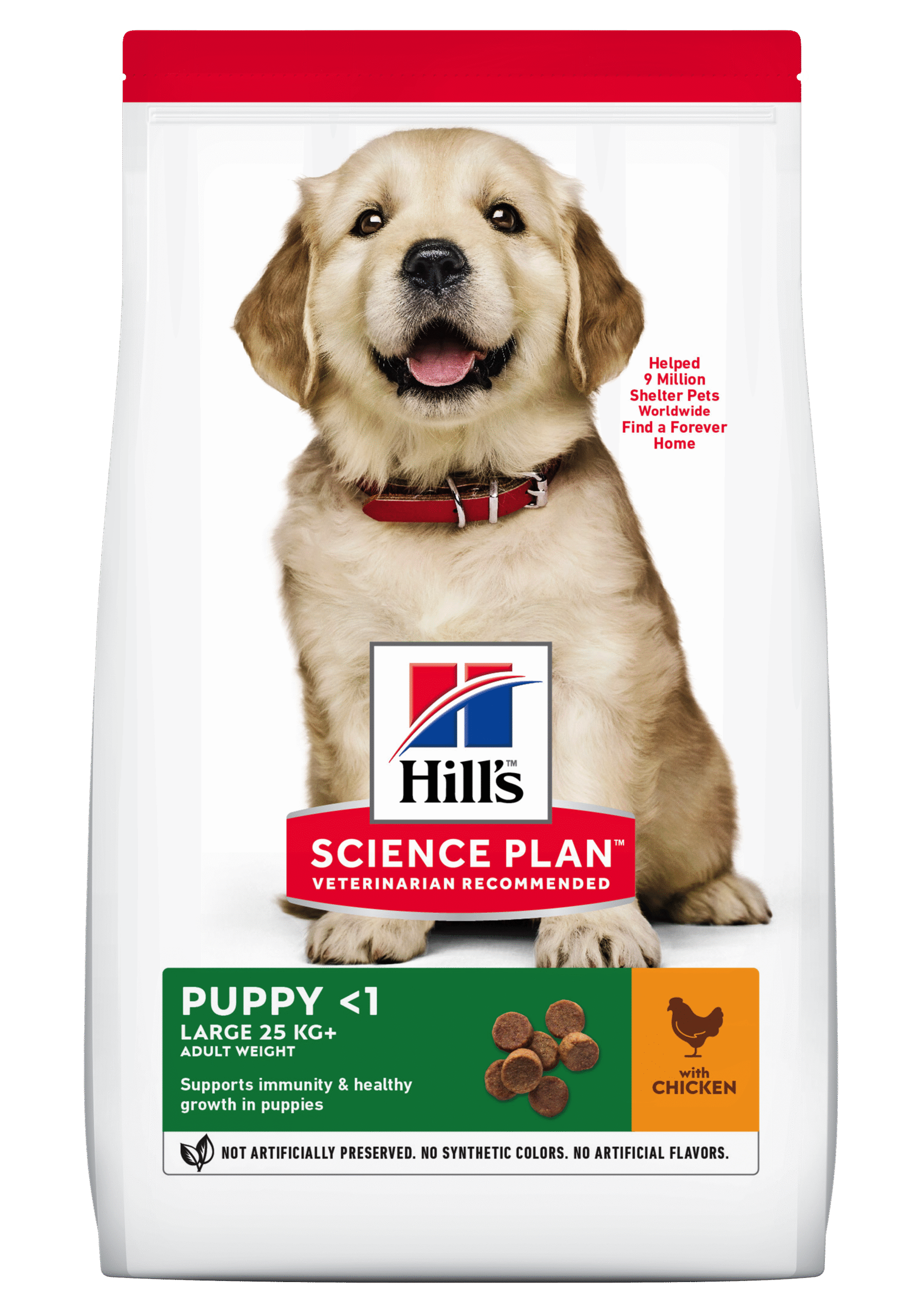 HILL'S SCIENCE PLAN Puppy Large Breed Dry Dog Food Chicken Flavour