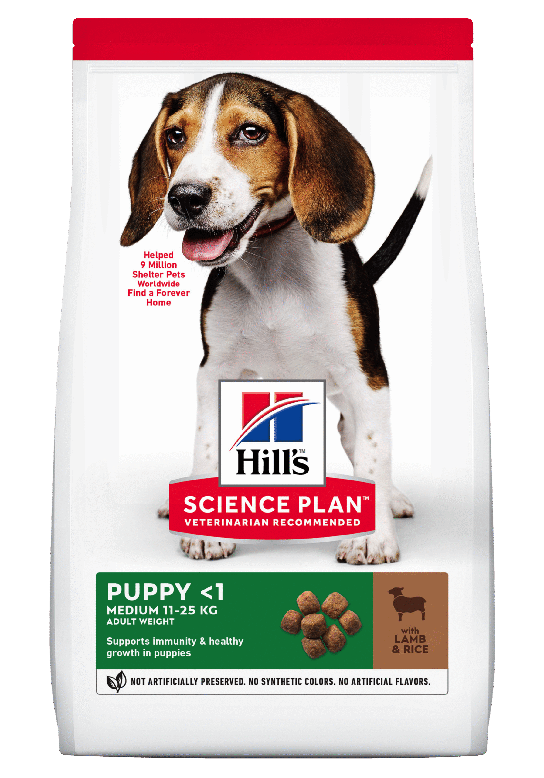 HILL'S SCIENCE PLAN Puppy Medium Dry Dog Food Lamb & Rice Flavour