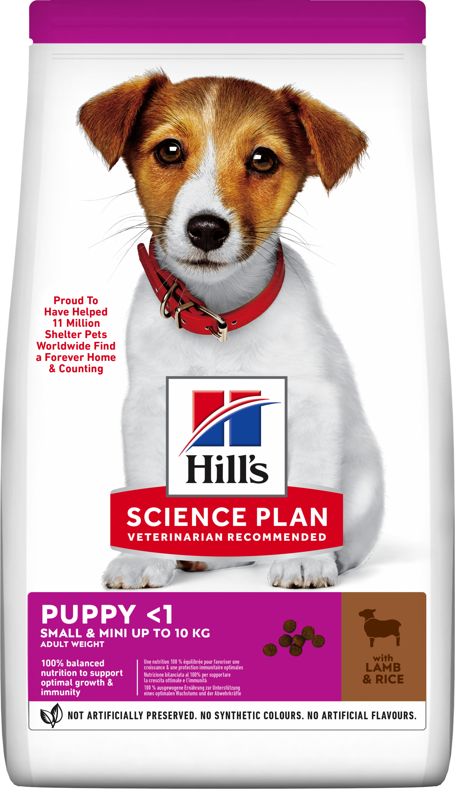 HILL'S SCIENCE PLAN Puppy Small & Mini Dry Food Lamb & Rice Flavour