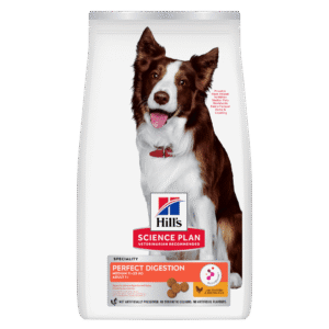 HILL'S SCIENCE PLAN Adult Perfect Digestion Medium Dry Food Chicken & Brown Rice Flavour - 12kg