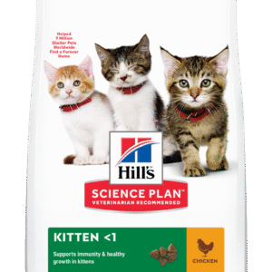 HILL'S SCIENCE PLAN Kitten Dry Food Chicken Flavour