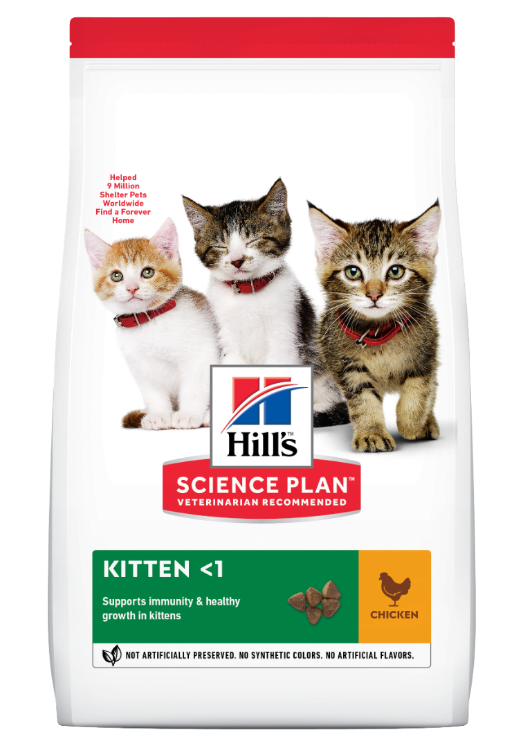 HILL'S SCIENCE PLAN Kitten Dry Food Chicken Flavour